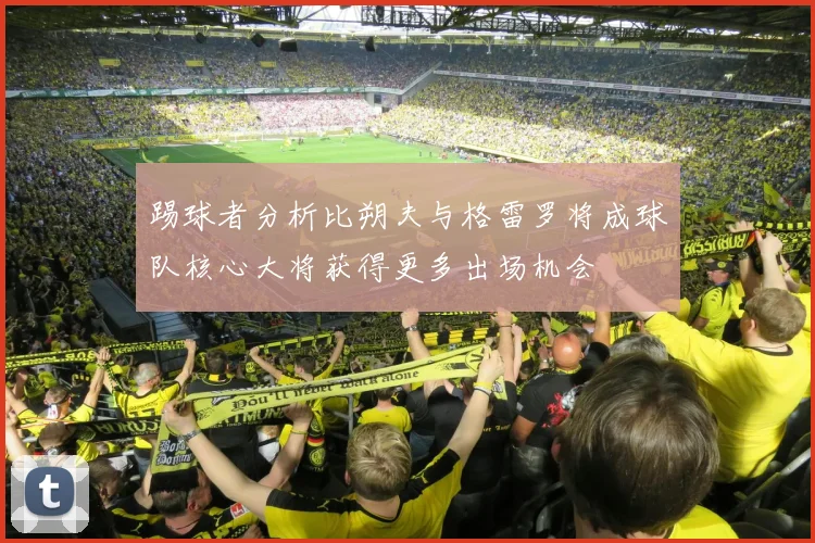 踢球者分析比朔夫与格雷罗将成球队核心大将获得更多出场机会